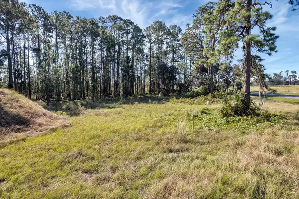 Umatilla, FL 32784,38514 WOODED MEADOW DR