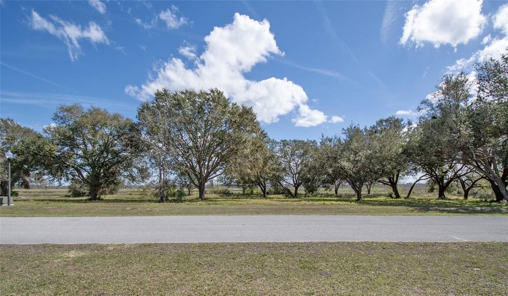 ROYAL PALM DR, Groveland, FL 34736