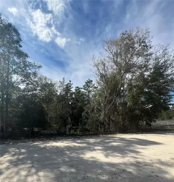 Williston, FL 32696,TBD NORTHEAST 141ST TERRACE