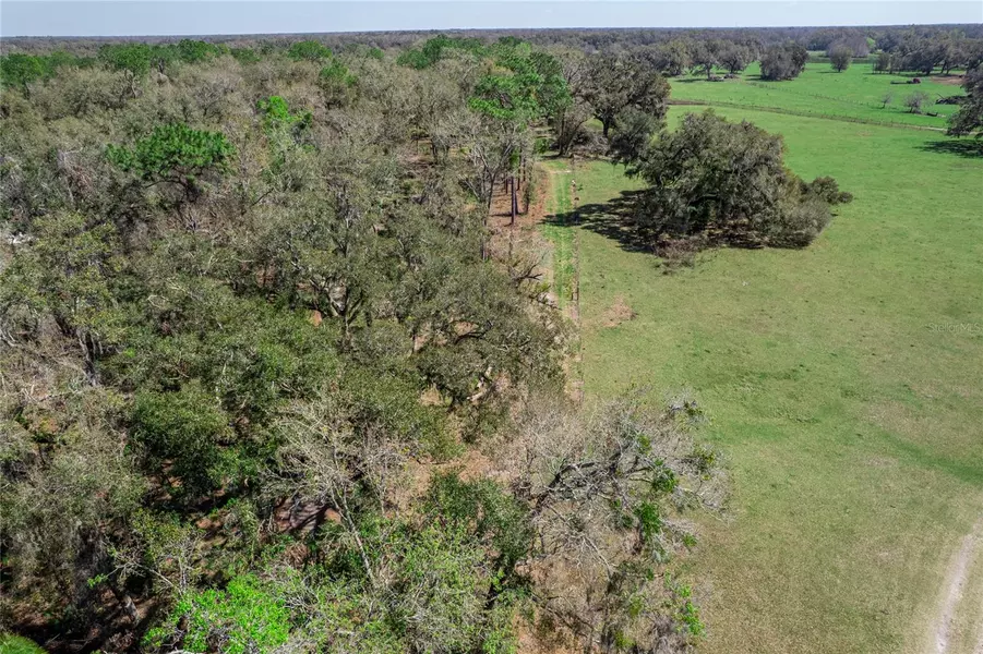TBD S US 301, Webster, FL 33597