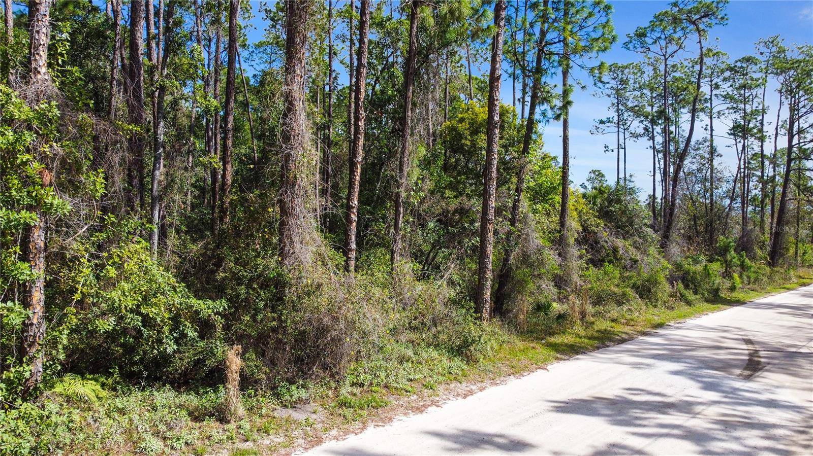New Smyrna Beach, FL 32168,QUAIL RANCH RD