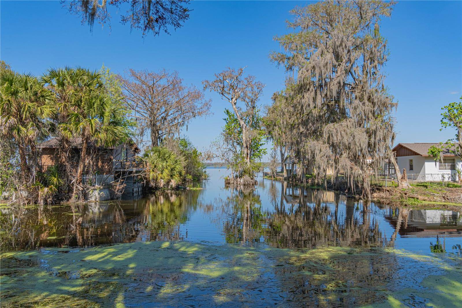 Lake Panasoffkee, FL 33538,2439 CR 453
