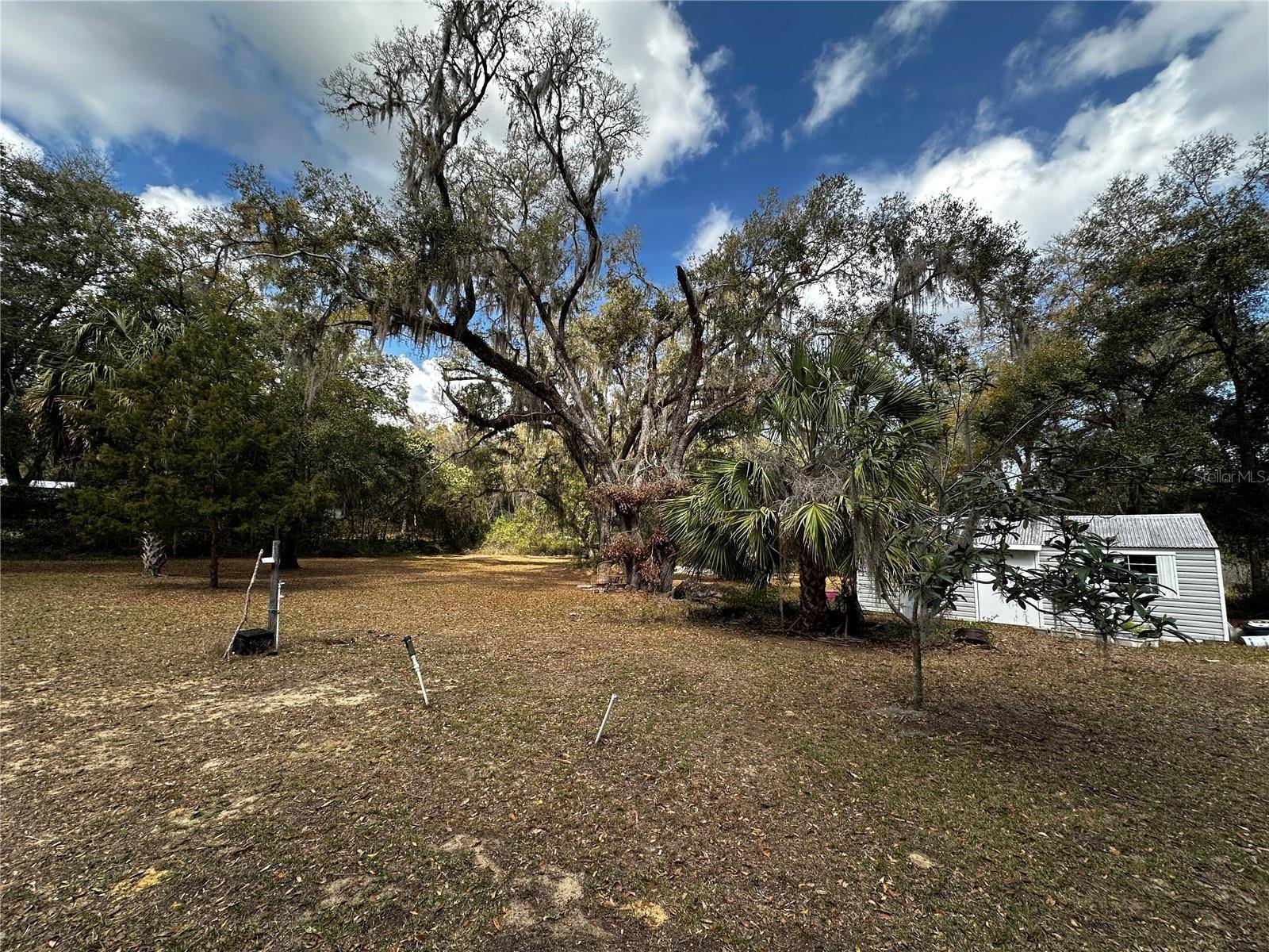 Salt Springs, FL 32134,12212 NE 238TH TER