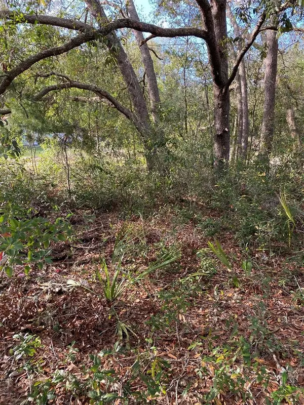 Lady Lake, FL 32159,DOGWOOD WAY