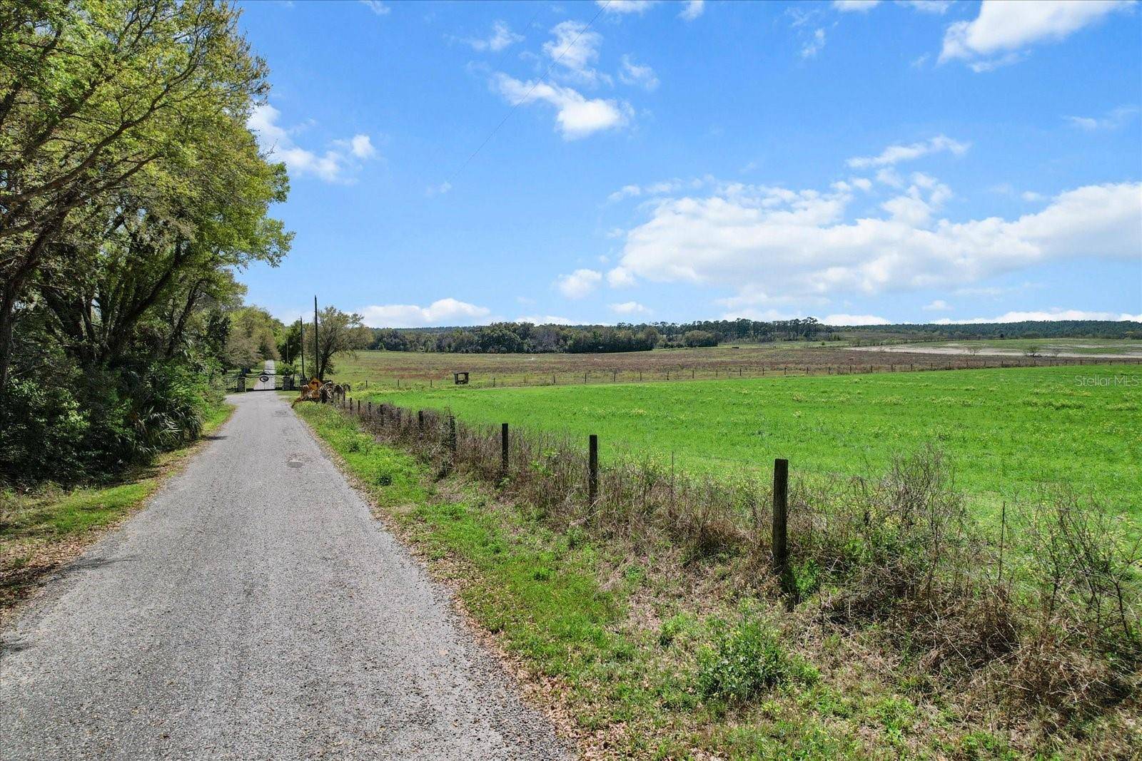 Dunnellon, FL 34431,(190 AC-see addt'l PID's) NW 225TH AVE