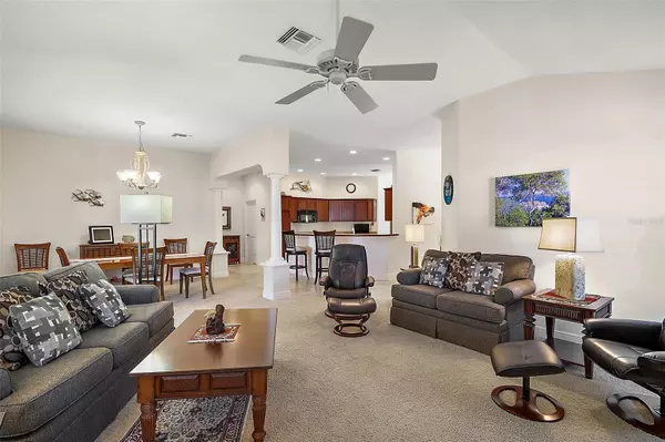 The Villages, FL 32162,859 PARKSVILLE PATH