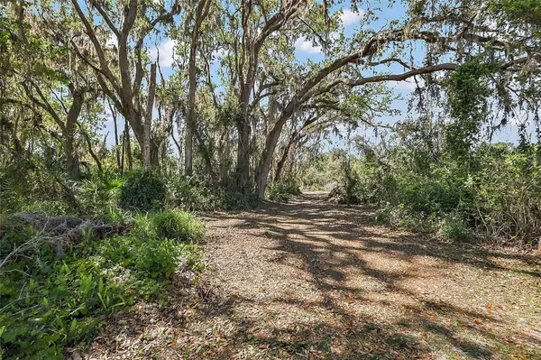 Okahumpka, FL 34762,5100 BANANA POINT DR
