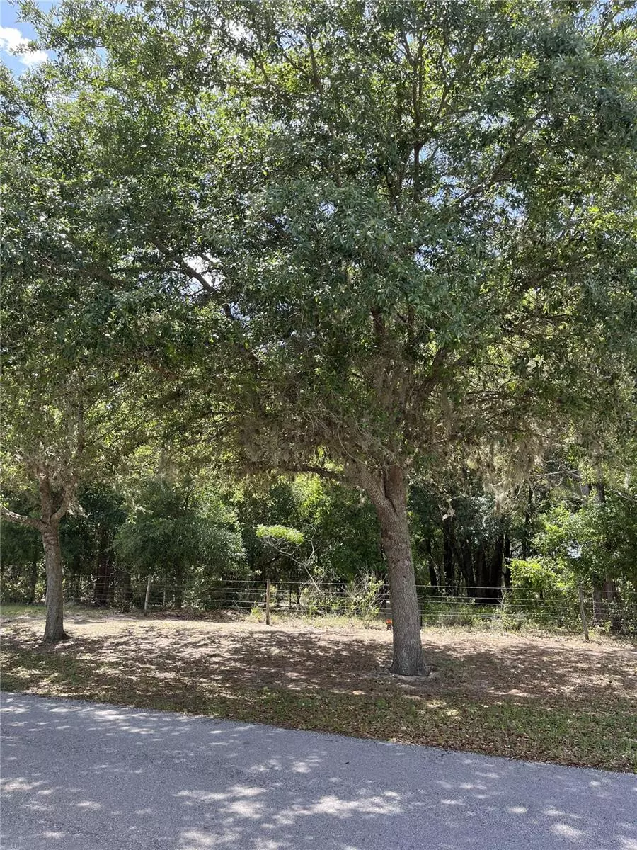 Groveland, FL 34736,TBD GRASS ROOTS RD
