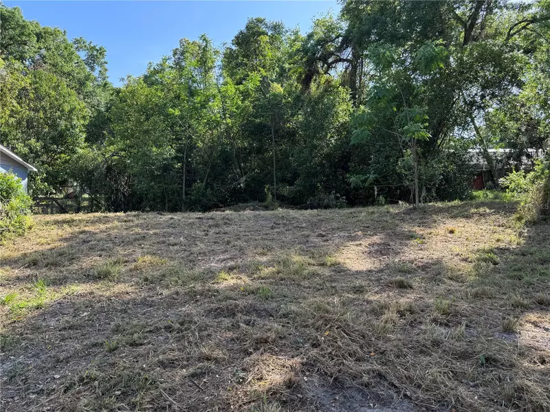 N PALM CIR, Eustis, FL 32726