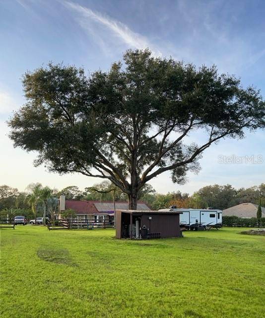 Apopka, FL 32712,3511 FOX LAKE DR