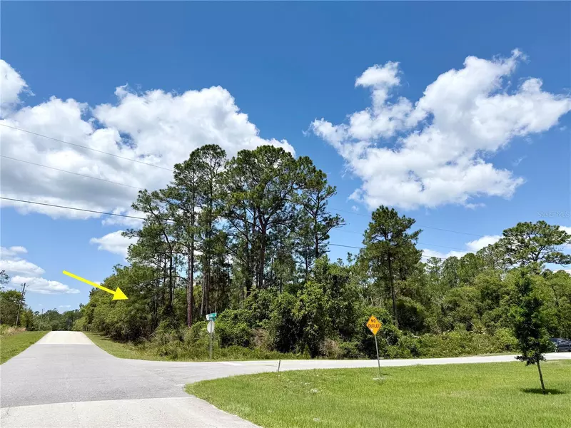 LOT 28 ALDER CT, Eustis, FL 32736
