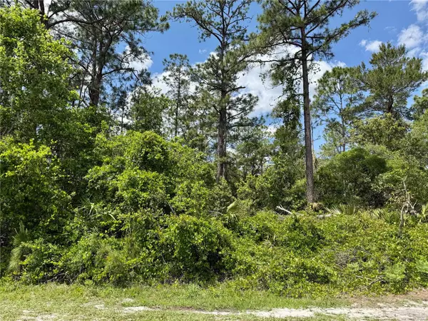 Eustis, FL 32736,LOT 28 ALDER CT