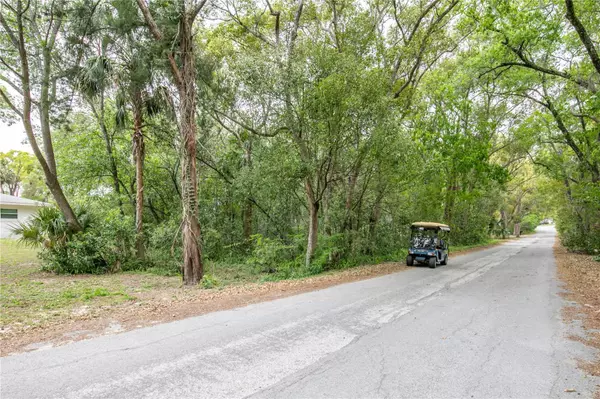 Sorrento, FL 32776,APAWAMIS DR