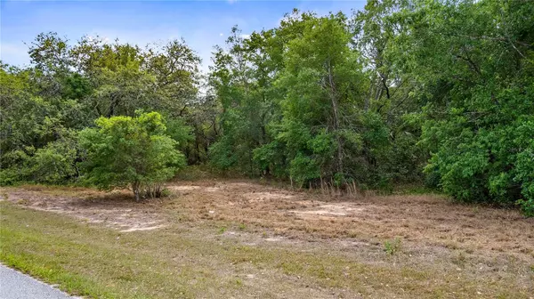 Montverde, FL 34756,COUNTY ROAD 455