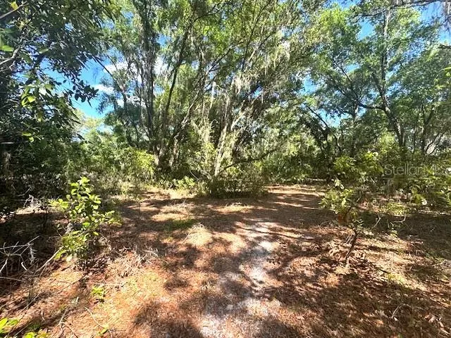 4140 S KENVERA LOOP, Inverness, FL 34450