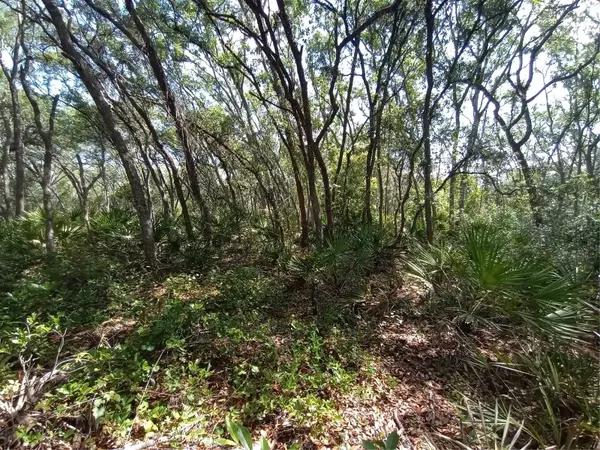 Webster, FL 33597,34457 PRIMROSE LN