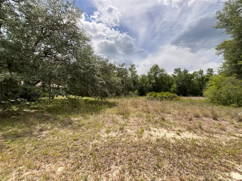 34331 RIM ROCK ST, Webster, FL 33597