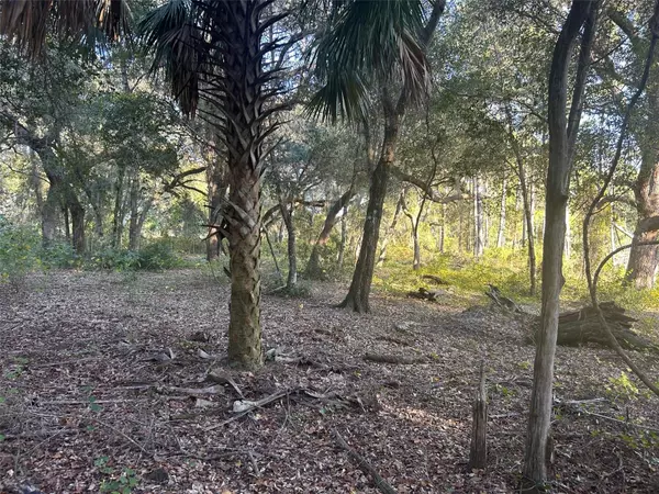 Ocklawaha, FL 32183,SE 49TH STREET RD