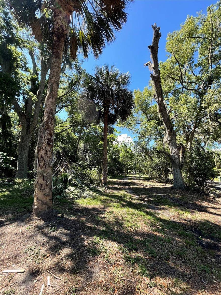 Leesburg, FL 34748,305 GAINES ST