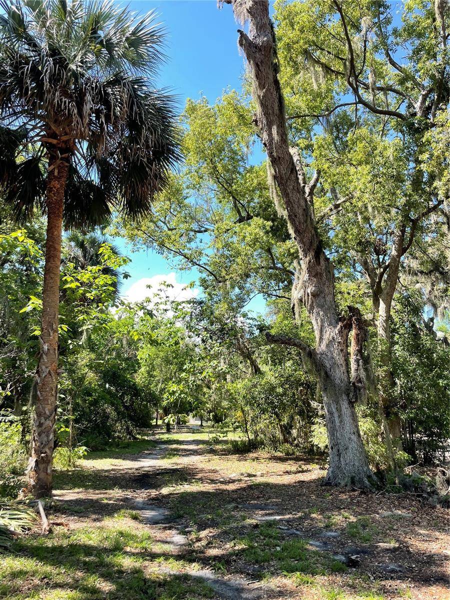 305 GAINES ST, Leesburg, FL 34748