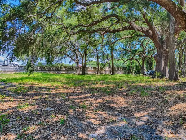 Tavares, FL 32778,LION LN