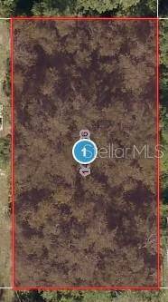 ELM ST,  Lady Lake,  FL 32159