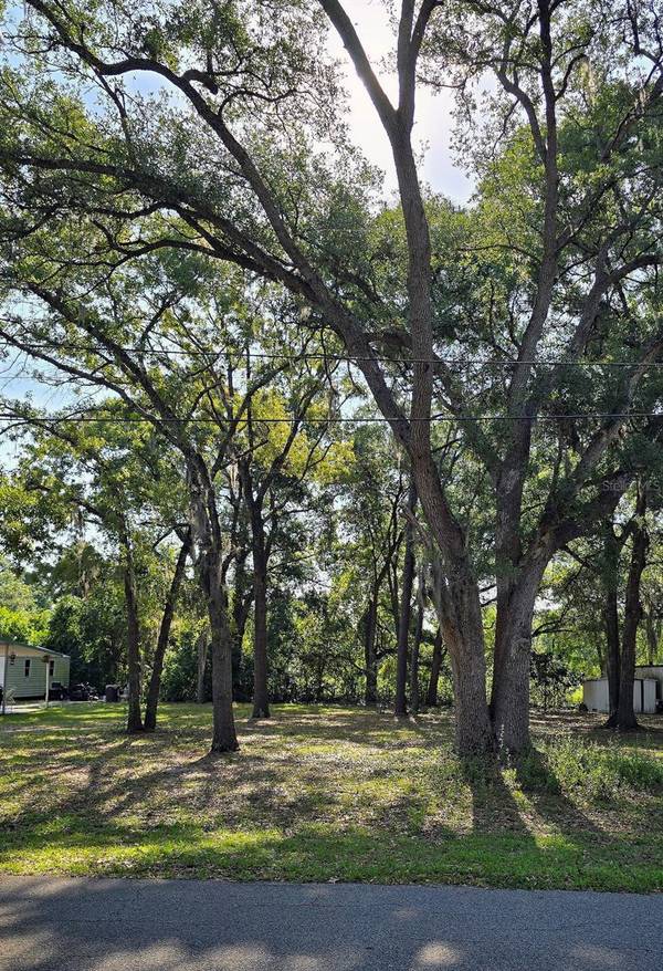 16055 SE 99TH TER, Summerfield, FL 34491