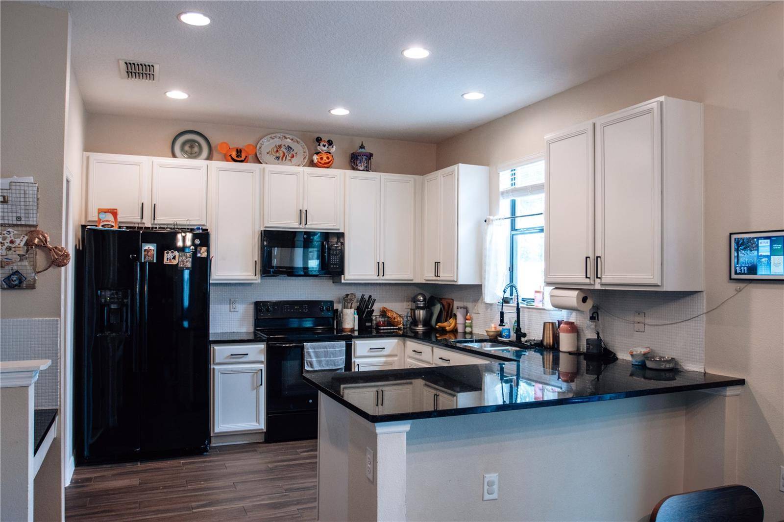Groveland, FL 34736,9219 CHANDLER DR