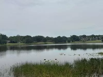 41827 N EMERALDA ISLAND RD, Leesburg, FL 34788