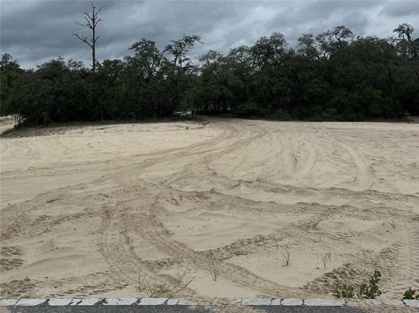 8191 HARDSTONE DR, Webster, FL 33597