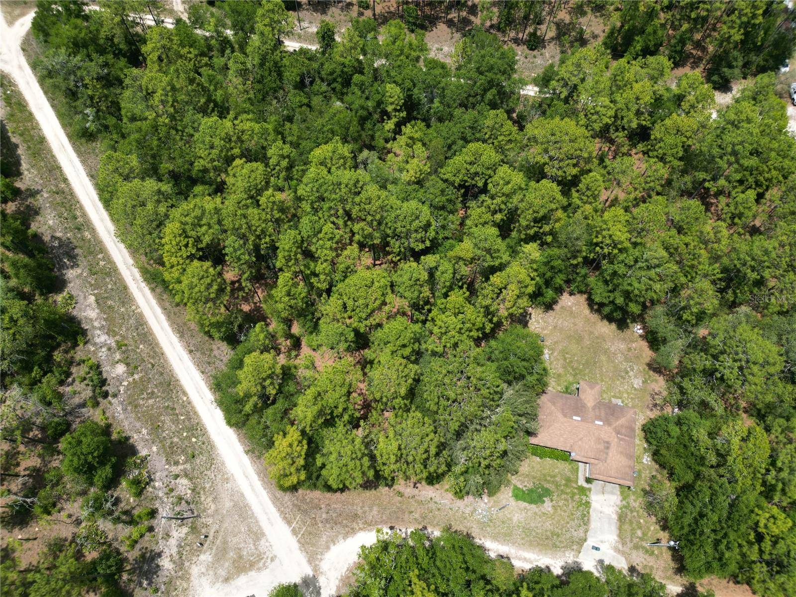 Ocala, FL 34481,0000 SW 159TH AVE RD