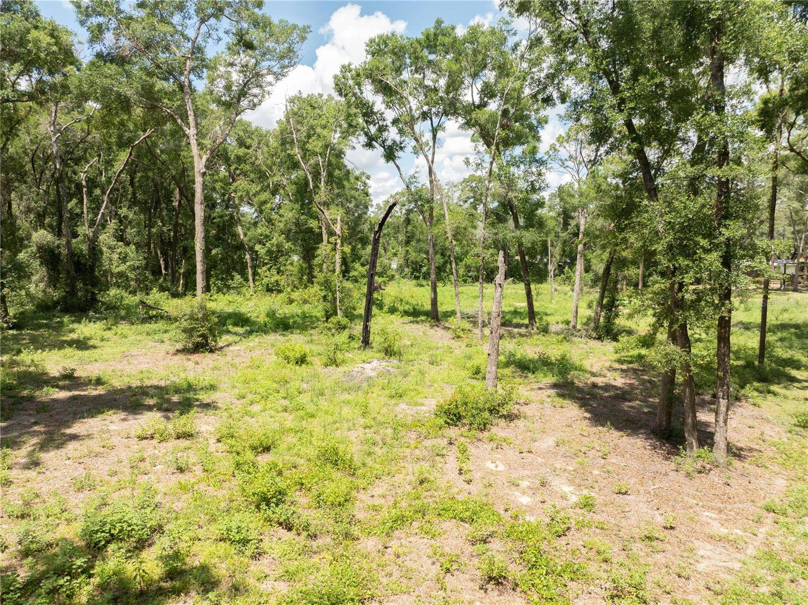 Oxford, FL 34484,11341 NE 11TH WAY