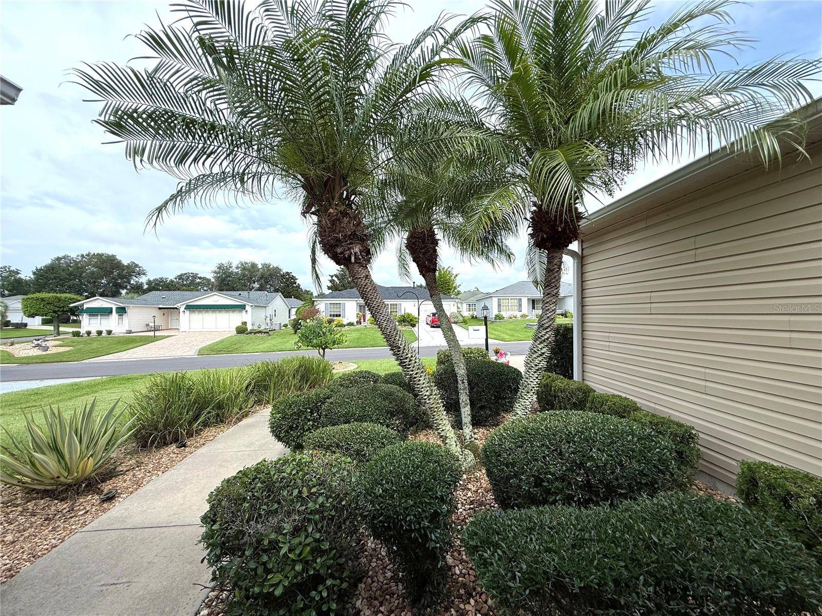 The Villages, FL 32162,17483 SE 74TH NETHERCLIFT TER