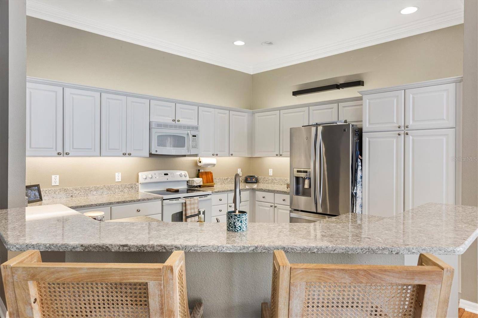 The Villages, FL 32162,2465 VIOLET CT