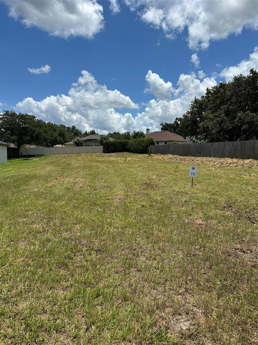 16000 MATANILLA DR, Clermont, FL 34711