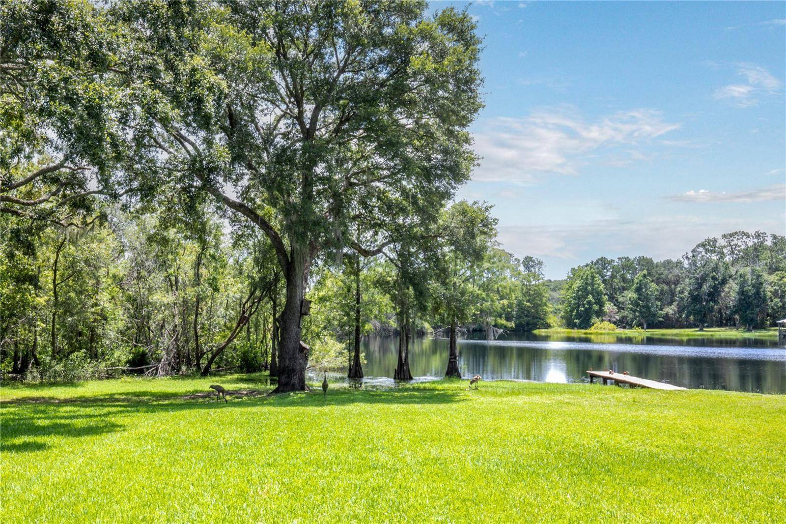 132 POND RD, Mount Dora, FL 32757