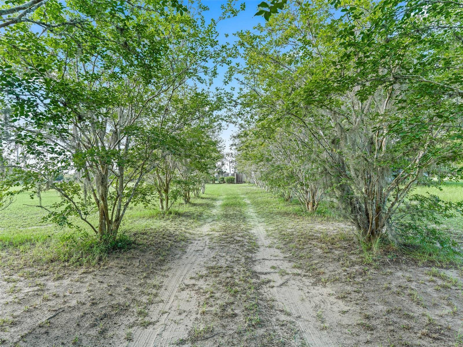 Ocklawaha, FL 32179,17260 SE 55TH PL