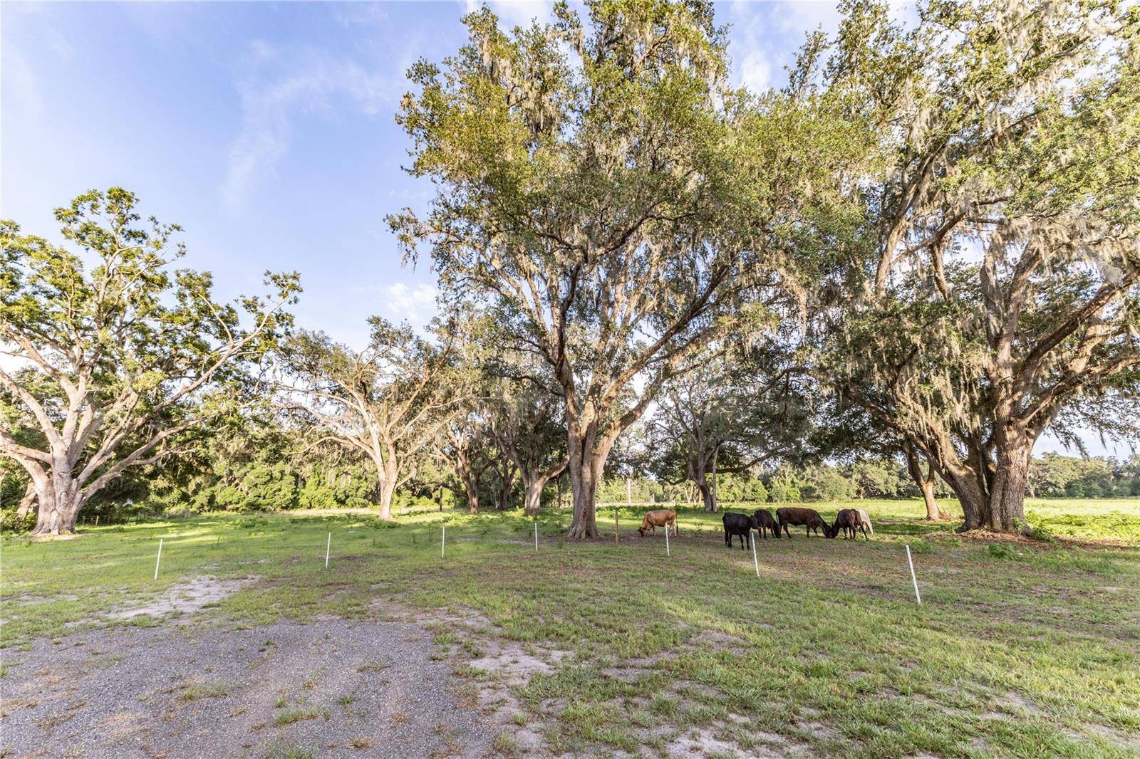 Webster, FL 33597,12523 CR 721