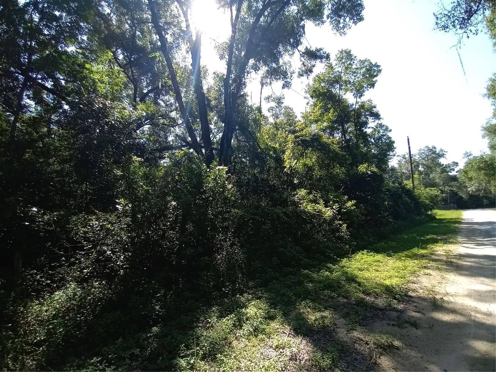 Webster, FL 33597,7092 ELAINE DR