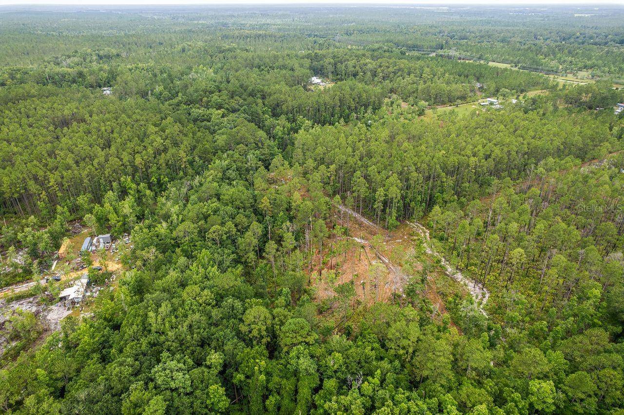 Fort Mc Coy, FL 32134,TBD NE 125TH AVE