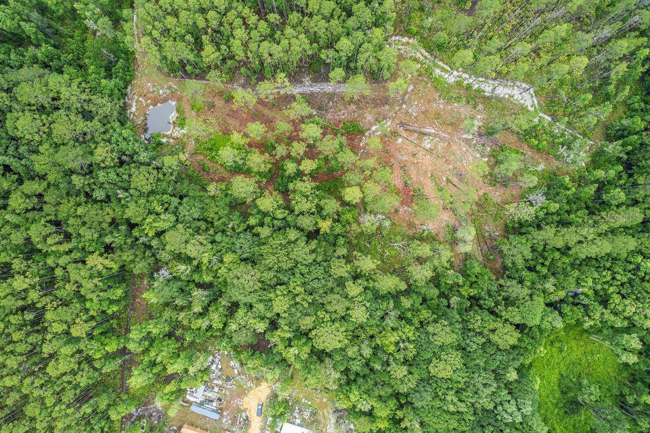 Fort Mc Coy, FL 32134,TBD NE 125TH AVE