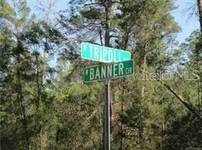 6606 N TRIPOLI TER, Dunnellon, FL 34433