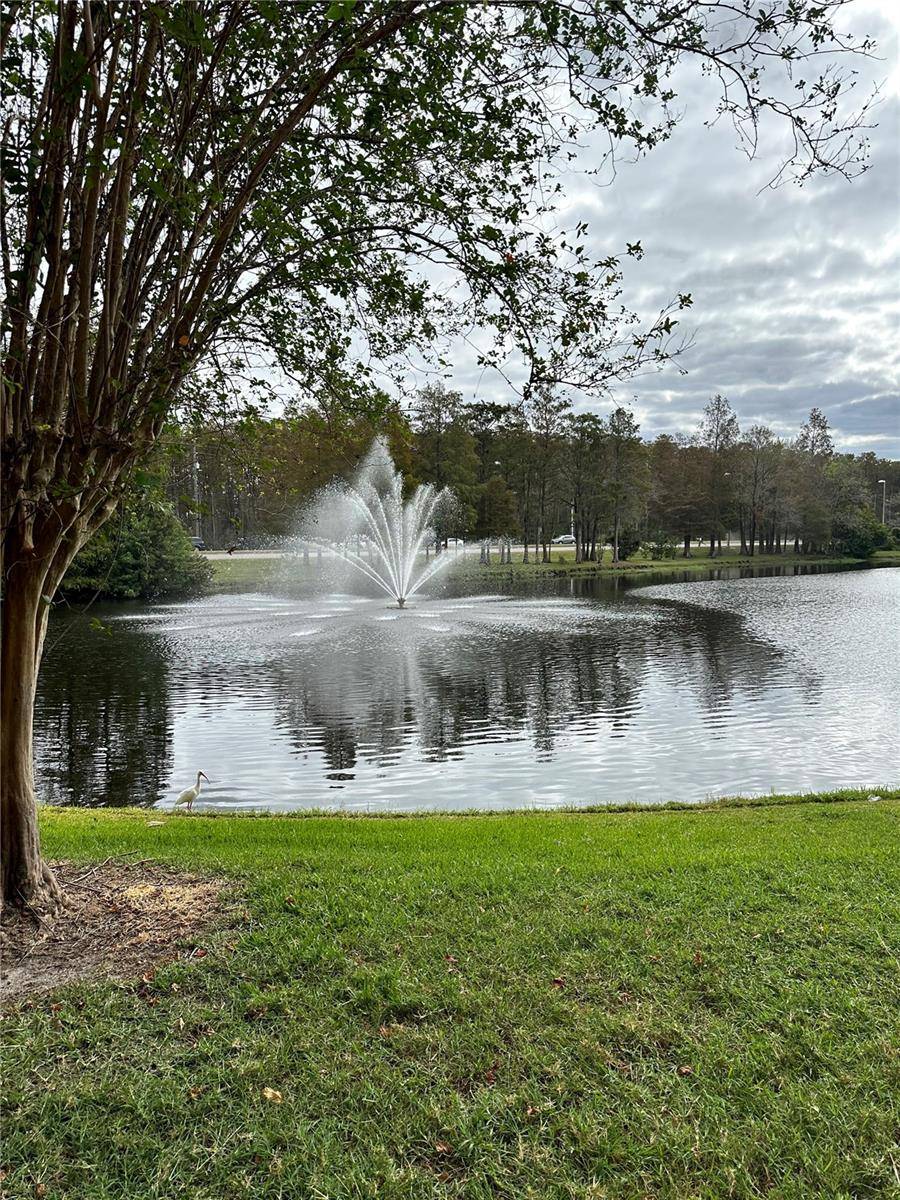 Orlando, FL 32837,13584 TURTLE MARSH LOOP #21