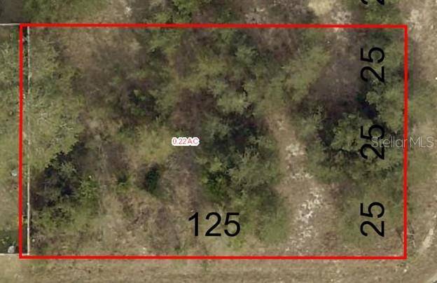 Summerfield, FL 34491,000 SE 88TH AVE