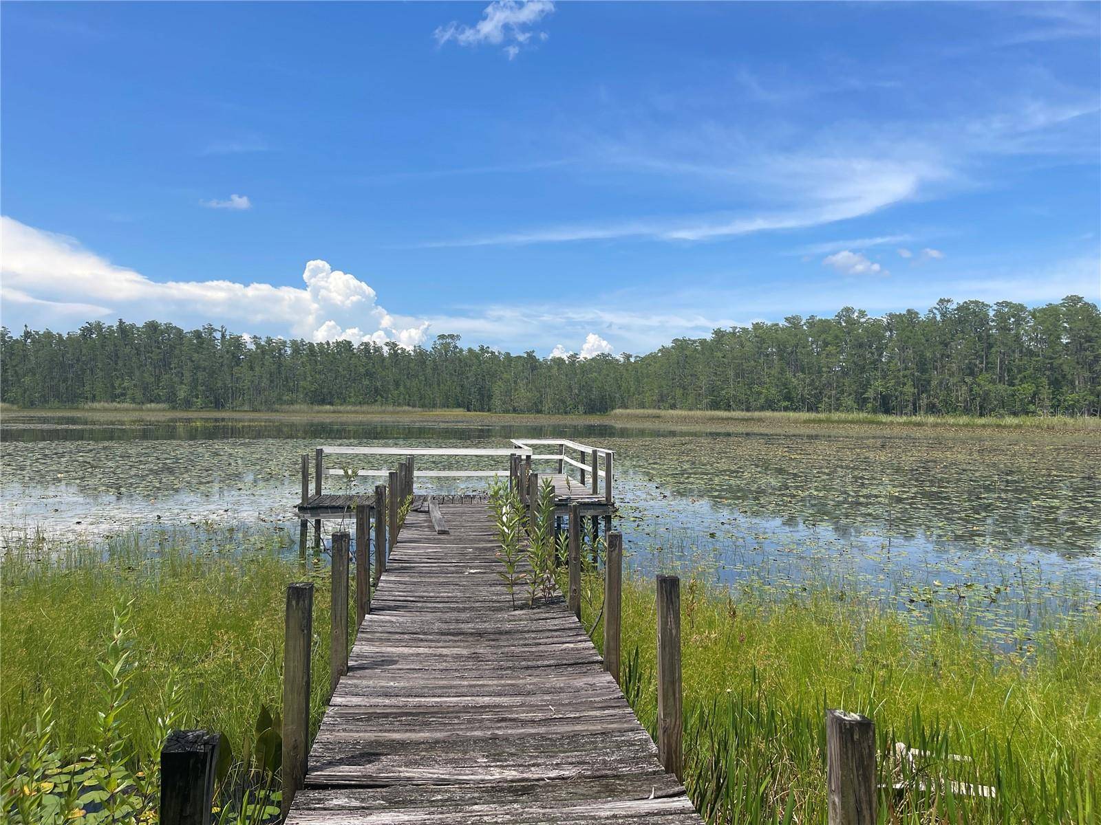 Clermont, FL 34714,7752 ADONIJAH WAY