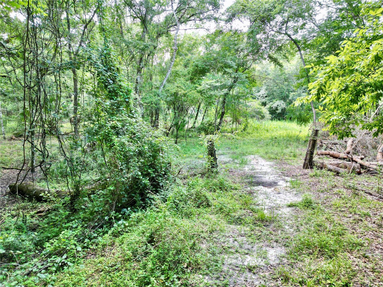 Webster, FL 33597,TBD SW 31ST WAY