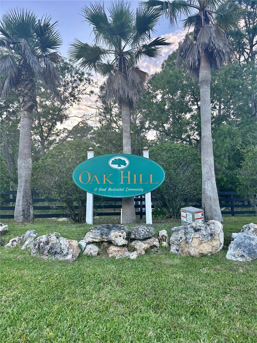 Wildwood, FL 34785,TBD CR 243B