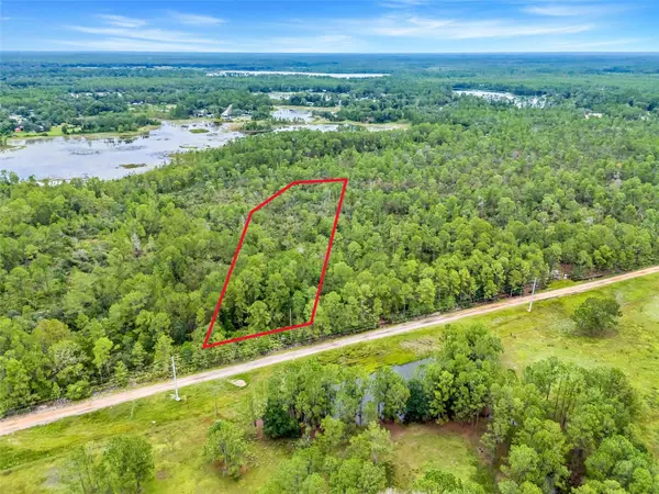BUCK RUN DR, Paisley, FL 32767