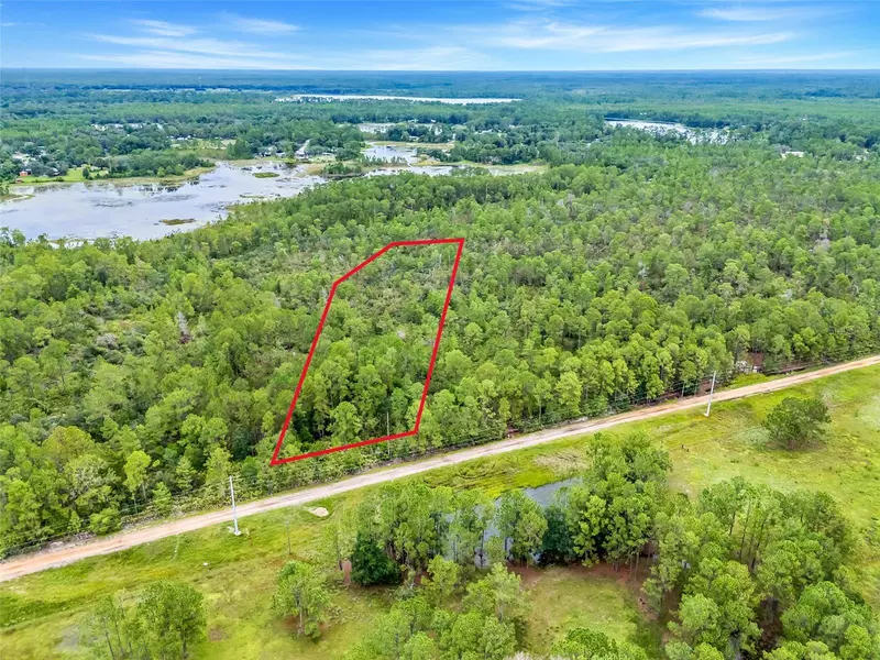 BUCK RUN DR, Paisley, FL 32767