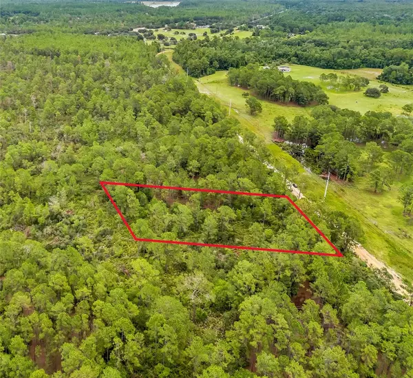Paisley, FL 32767,BUCK RUN DR